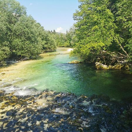 Apartmán Apartma Neva Bohinj Exteriér fotografie