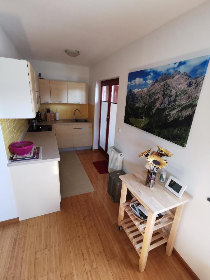 Apartmán Apartma Neva Bohinj Exteriér fotografie