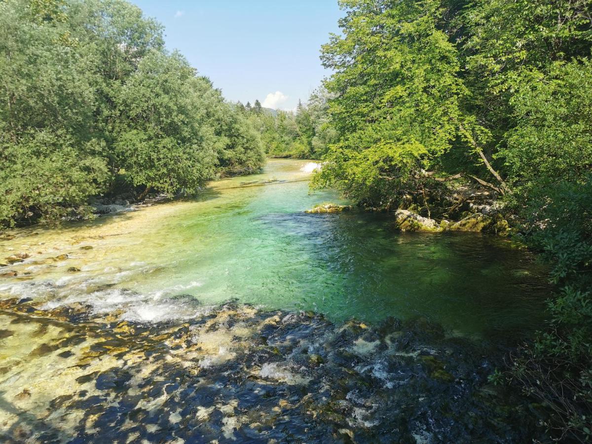 Apartma Neva Bohinj Exteriér fotografie