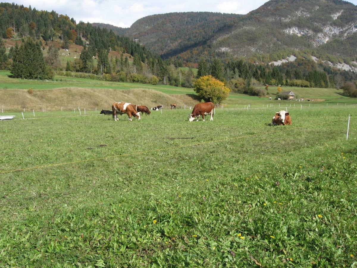 Apartmán Apartma Neva Bohinj Exteriér fotografie