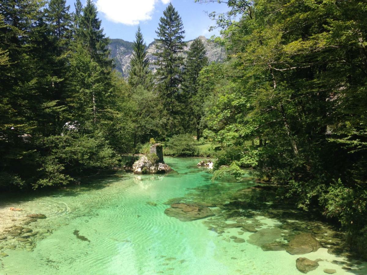 Apartmán Apartma Neva Bohinj Exteriér fotografie