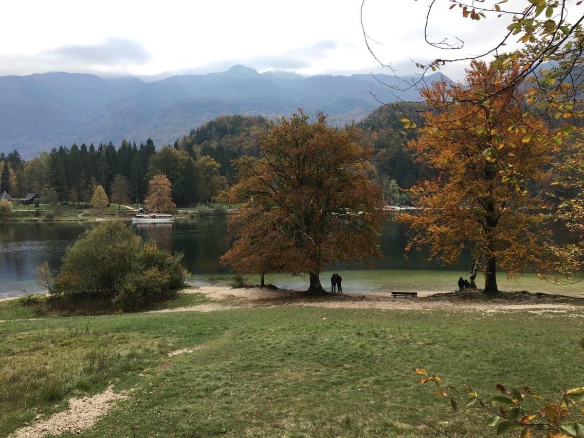 Apartmán Apartma Neva Bohinj Exteriér fotografie