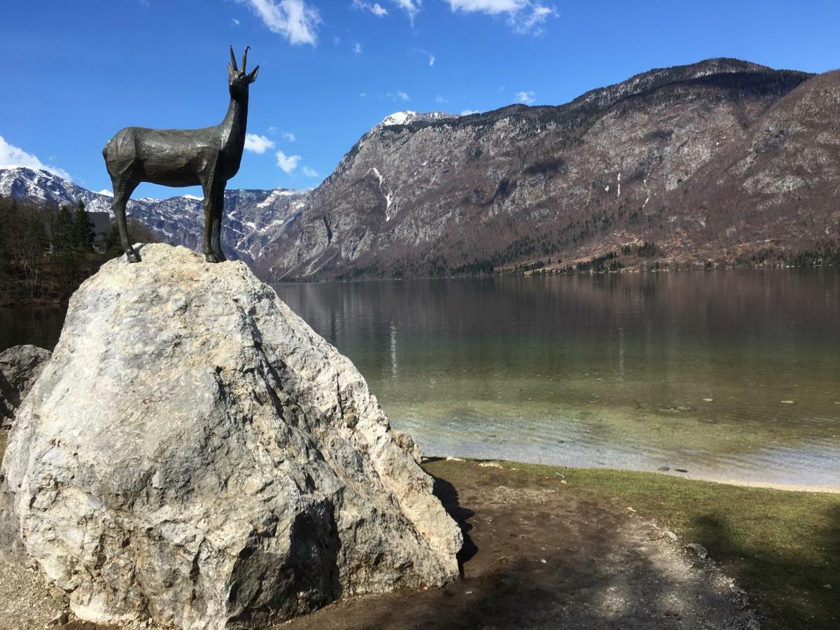 Apartma Neva Bohinj Exteriér fotografie